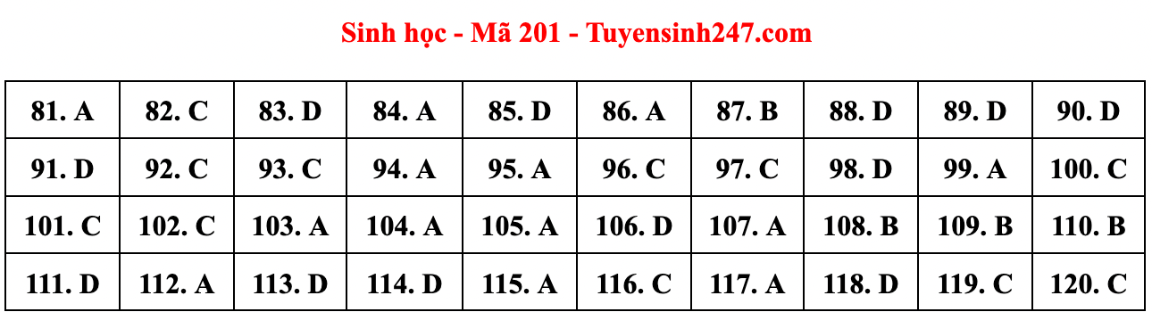 Cập nhật gợi ý đáp án đề thi môn Vật lý, Hóa học, Sinh học tốt nghiệp THPT năm 2023 theo mã đề nhanh nhất - Ảnh 16.