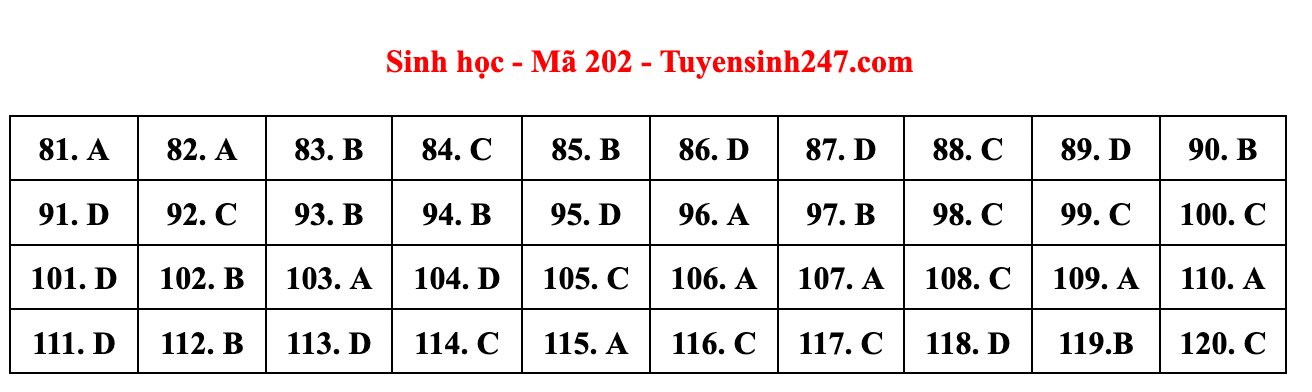 Cập nhật gợi ý đáp án đề thi môn Vật lý, Hóa học, Sinh học tốt nghiệp THPT năm 2023 theo mã đề nhanh nhất - Ảnh 17.