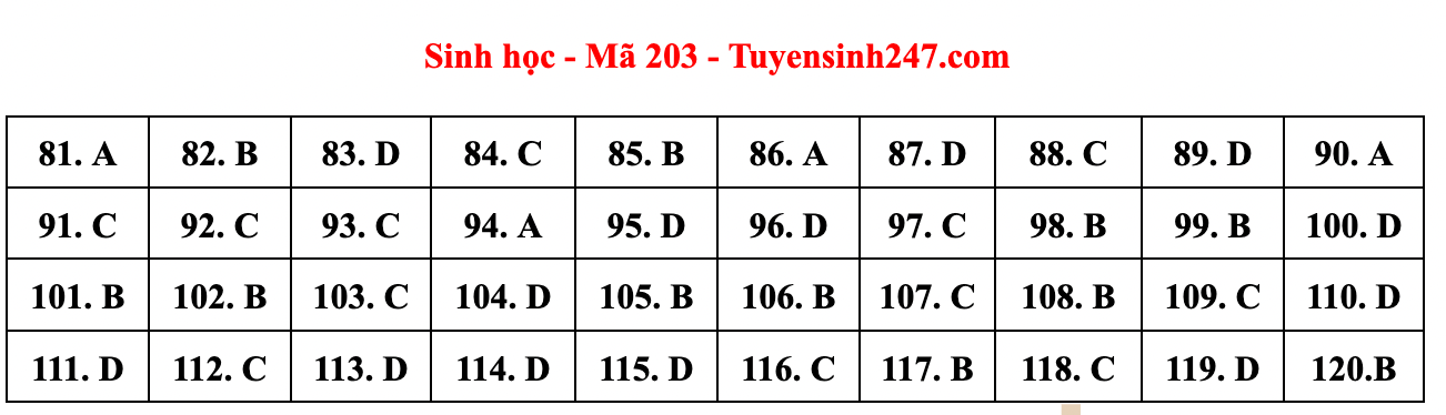 Cập nhật gợi ý đáp án đề thi môn Vật lý, Hóa học, Sinh học tốt nghiệp THPT năm 2023 theo mã đề nhanh nhất - Ảnh 18.