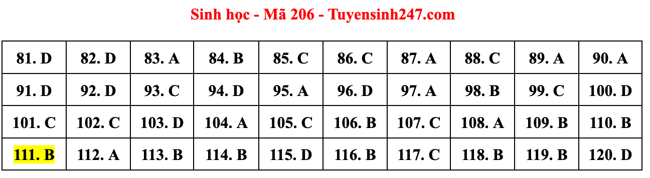 Cập nhật gợi ý đáp án đề thi môn Vật lý, Hóa học, Sinh học tốt nghiệp THPT năm 2023 theo mã đề nhanh nhất - Ảnh 21.