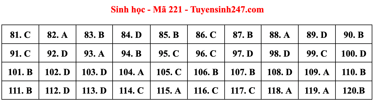 Cập nhật gợi ý đáp án đề thi môn Vật lý, Hóa học, Sinh học tốt nghiệp THPT năm 2023 theo mã đề nhanh nhất - Ảnh 8.