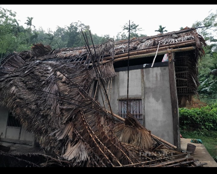 Yên Bái: 1 người mất tích, 244 nhà dân bị ảnh hưởng do mưa bão - Ảnh 1.