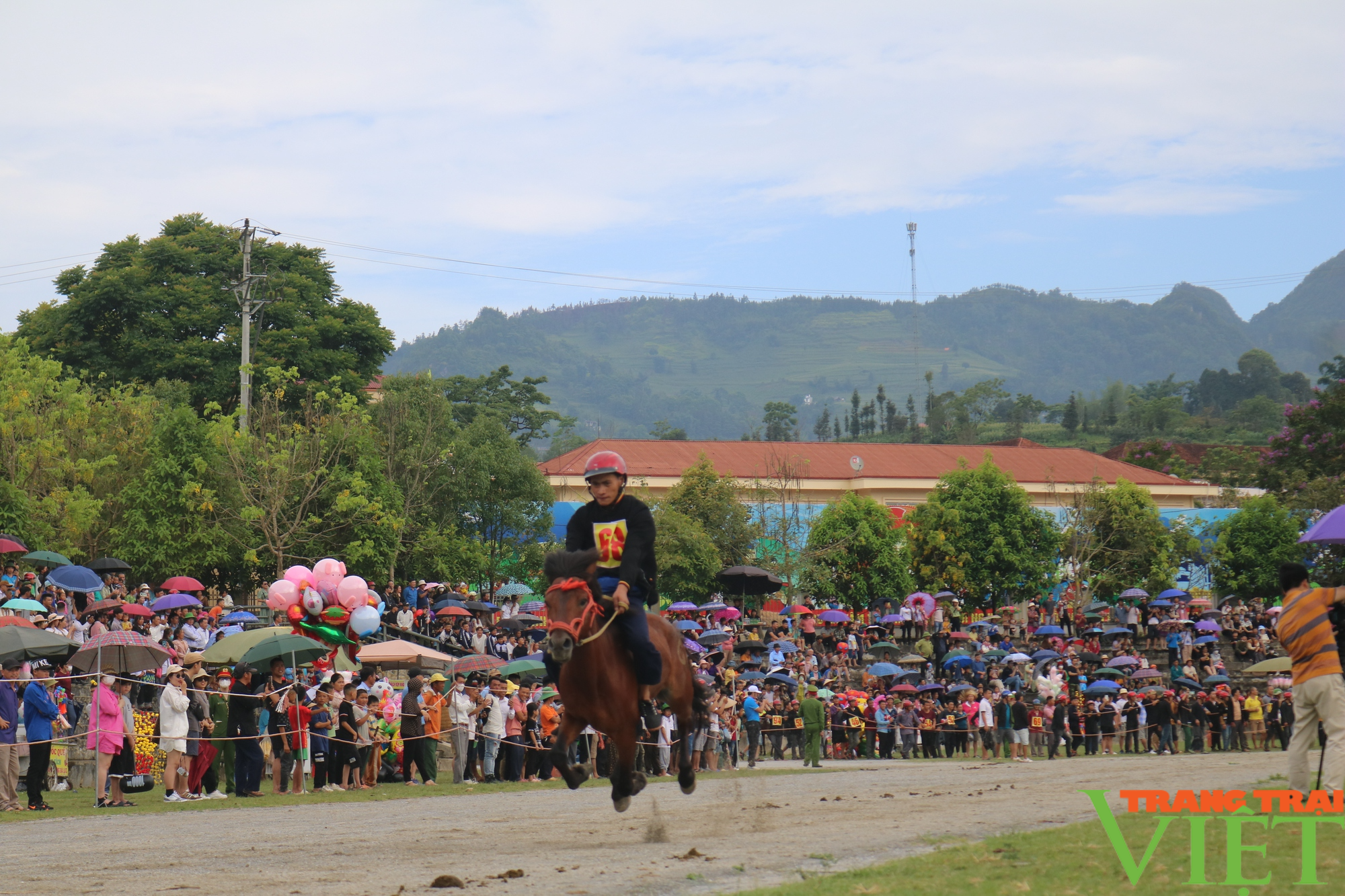 Festival Cao nguyên trắng Bắc Hà mùa hè năm 2023 - Ảnh 6.