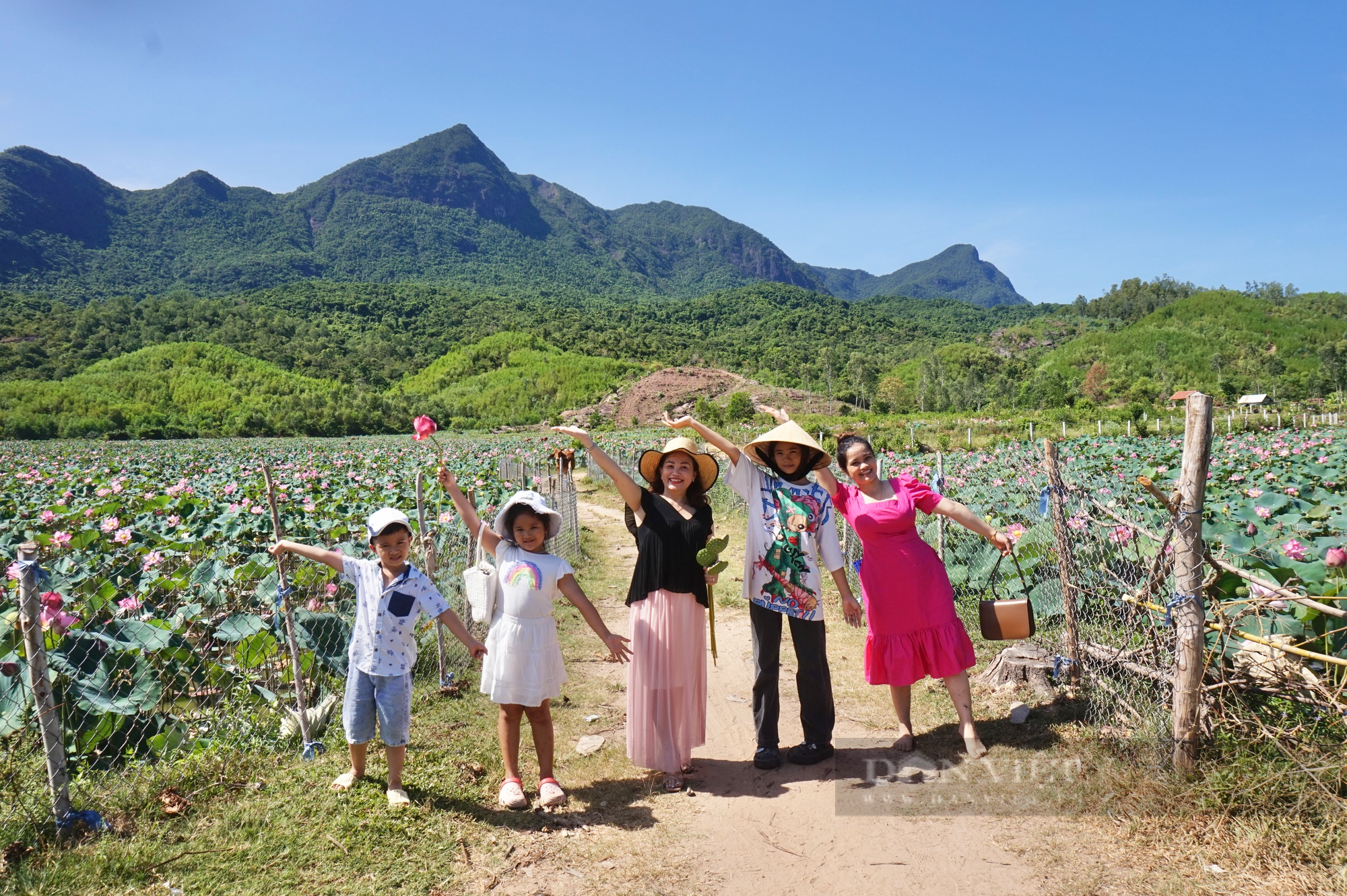 Cánh đồng sen lớn nhất Quảng Nam nở rộ, du khách thi nhau đến chụp hình, “check-in” - Ảnh 3.