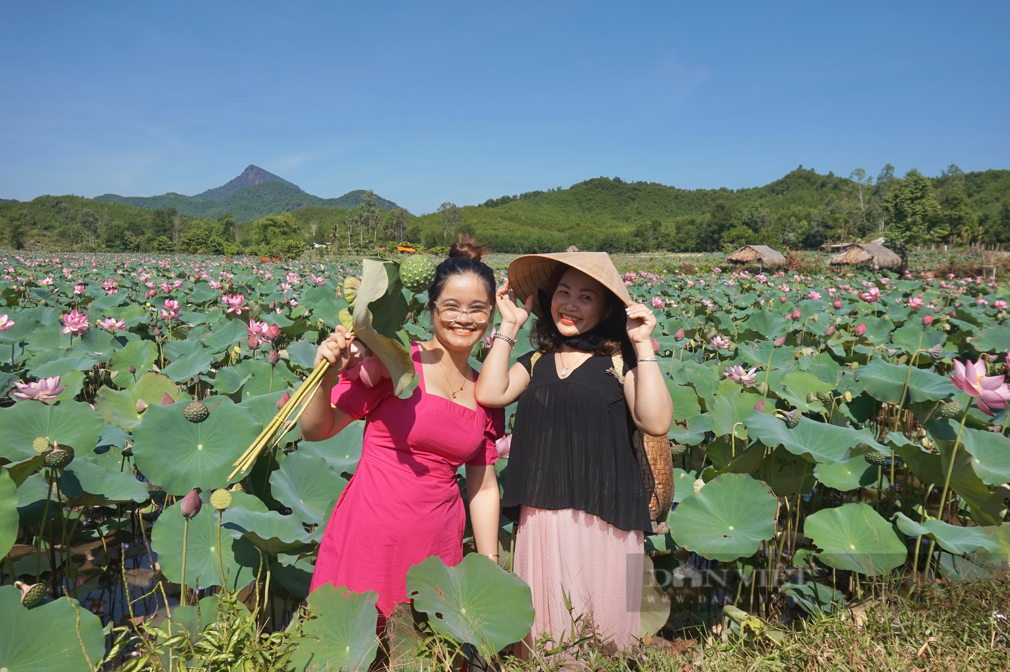 Cánh đồng sen lớn nhất Quảng Nam nở rộ, du khách thi nhau đến chụp hình, “check-in” - Ảnh 6.