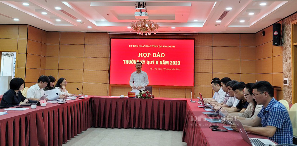 Quảng Ninh đứng thứ 2 vùng đồng bằng sông Hồng về tăng trưởng kinh tế 6 tháng đầu năm 2023 - Ảnh 2.