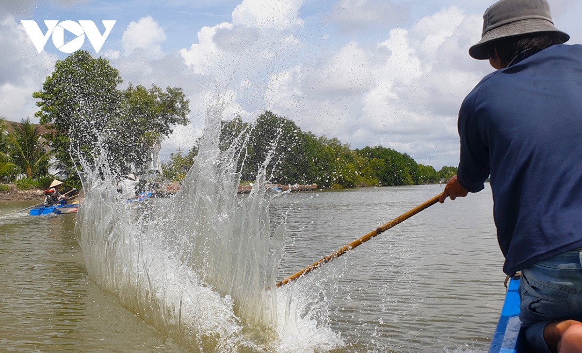 Nghề săn cá vồ chó của người dân Cà Mau - Ảnh 2.