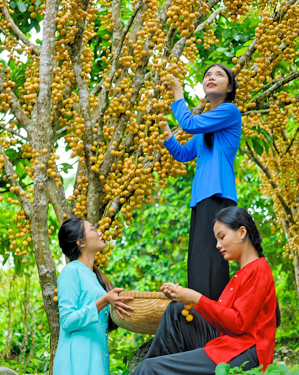 Ngọn núi nổi tiếng ở An Giang đang vào mùa trái gì mà vàng từ gốc lên ngọn, khách kéo về đông vui? - Ảnh 6.