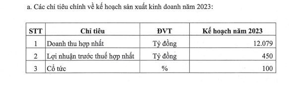 Dây Cáp điện Việt Nam (CAV): Lên kế hoạch lợi nhuận trước thuế đạt 450 tỷ, chia cổ tức tỷ lệ 100%  - Ảnh 1.