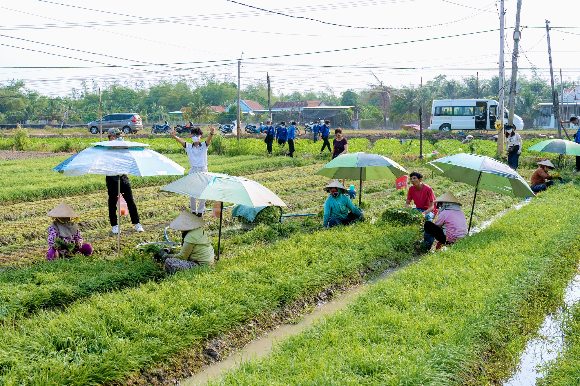 Khách du lịch đến Khánh Hòa thích thú trải nghiệm cuộc sống dân dã ở làng quê Nam Vân Phong - Ảnh 3.
