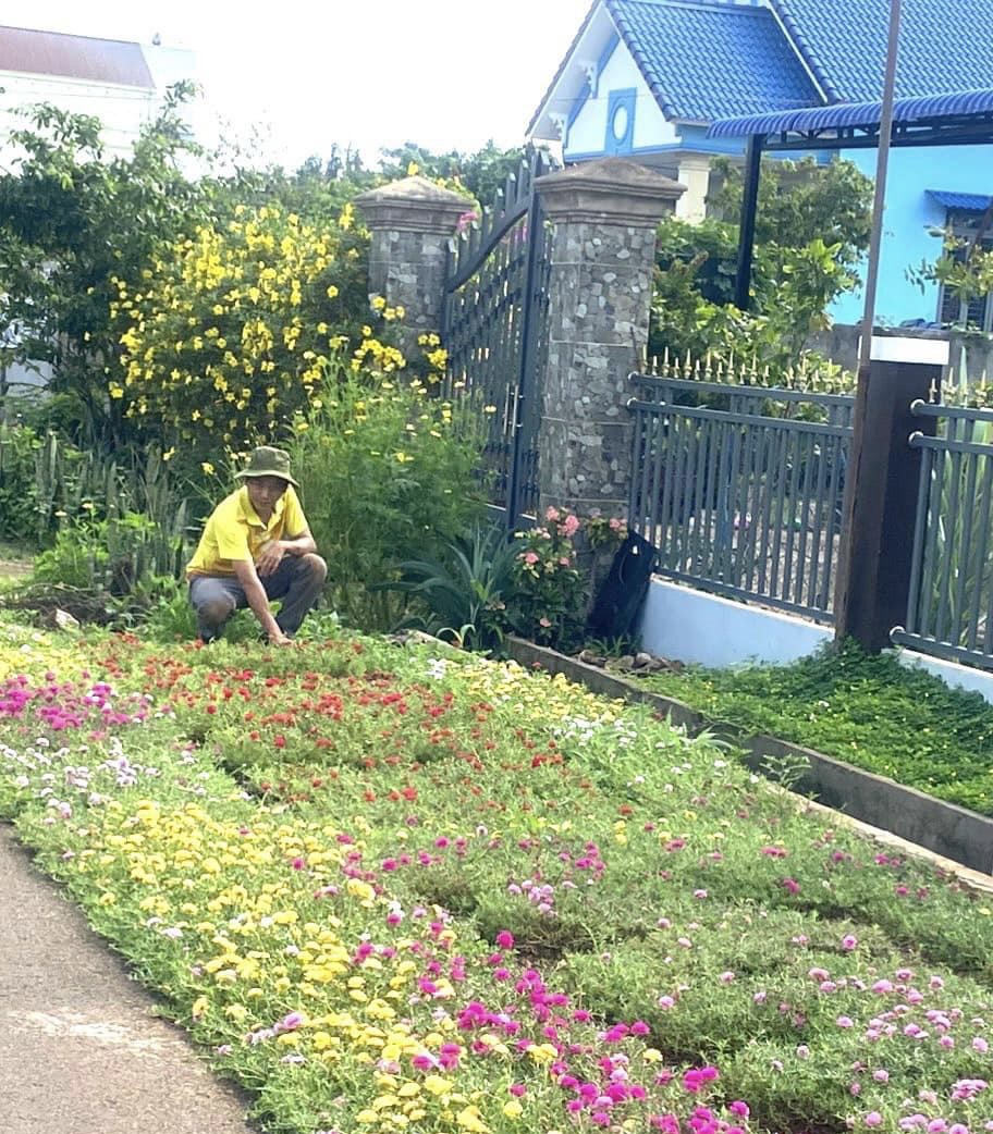 Đường hoa nông thôn mới ở một huyện của Bà Rịa-Vũng Tàu đẹp mê tơi với hoa mười giờ, cây bông trang - Ảnh 8.