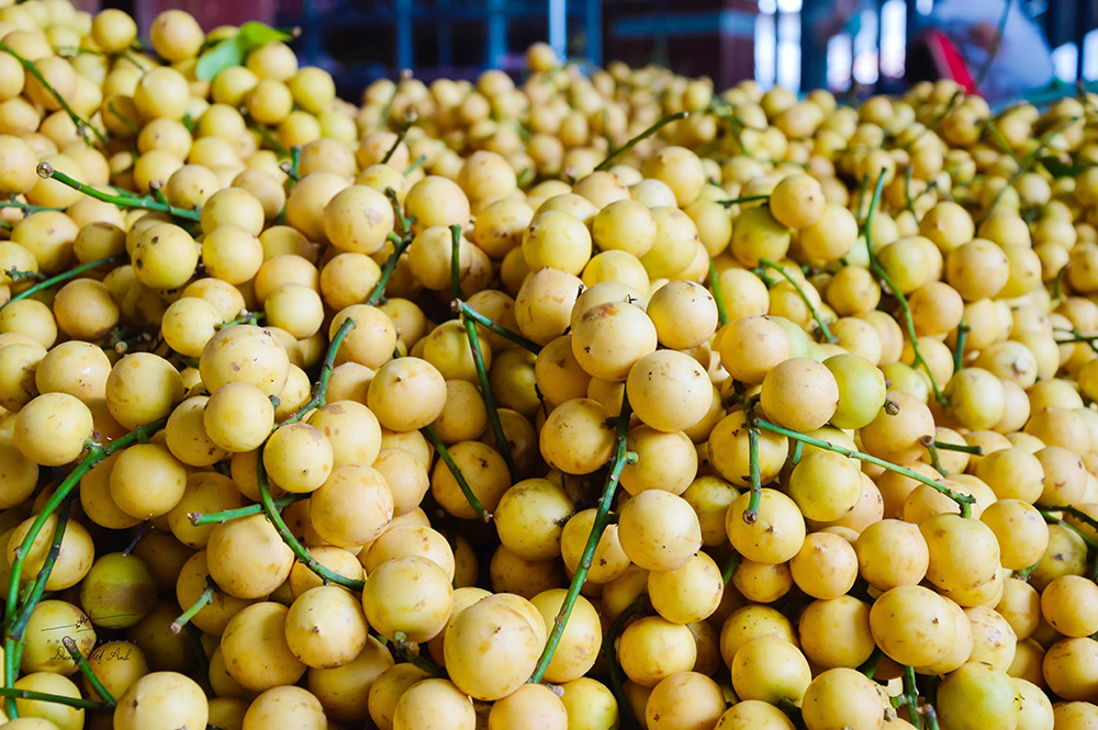 Ngọn núi nổi tiếng ở An Giang đang vào mùa trái gì mà vàng từ gốc lên ngọn, khách kéo về đông vui? - Ảnh 5.