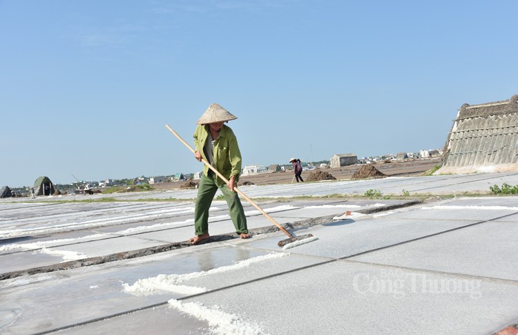 Rõ là được mùa nhưng diêm dân ở cánh đồng muối Bạch Long lại vẫn không vui, nguyên nhân là do đâu? - Ảnh 1.