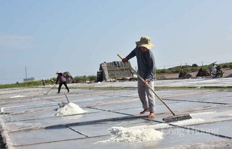 Rõ là được mùa nhưng diêm dân ở cánh đồng muối Bạch Long lại vẫn không vui, nguyên nhân là do đâu? - Ảnh 5.