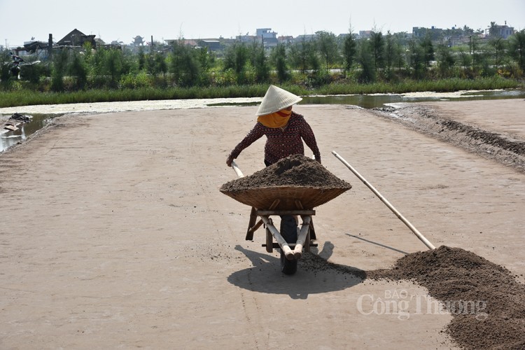 Rõ là được mùa nhưng diêm dân ở cánh đồng muối Bạch Long lại vẫn không vui, nguyên nhân là do đâu? - Ảnh 8.