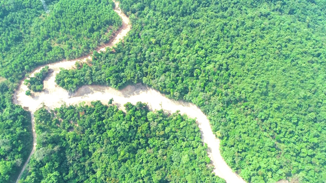 Phó Thủ tướng Chính phủ hoả tốc chỉ đạo kiểm tra vụ phá rừng tự nhiên Kfw6 tại Quảng Ngãi - Ảnh 3.