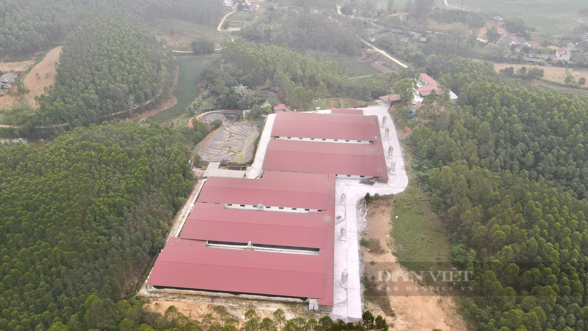 Xã Quang Yên (Sông Lô, Vĩnh Phúc): Buông lỏng quản lý, hàng ngàn m2 đất rừng bị “hô biến” thành trang trại chăn nuôi lợn - Ảnh 1.