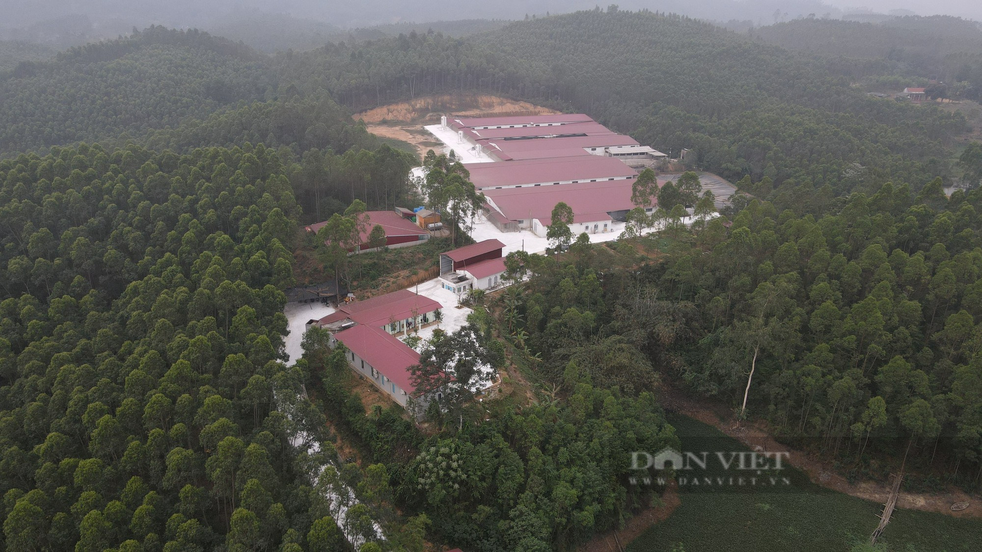 Xã Quang Yên (Sông Lô, Vĩnh Phúc): Buông lỏng quản lý, hàng ngàn m2 đất rừng bị “hô biến” thành trang trại chăn nuôi lợn - Ảnh 4.
