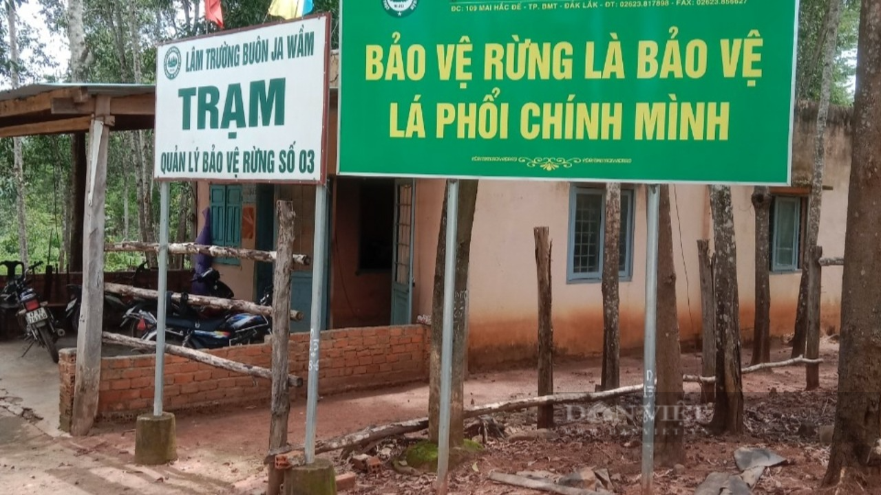 Nhân viên bảo vệ rừng ở Đắk Lắk bị đánh nhập viện - Ảnh 1.