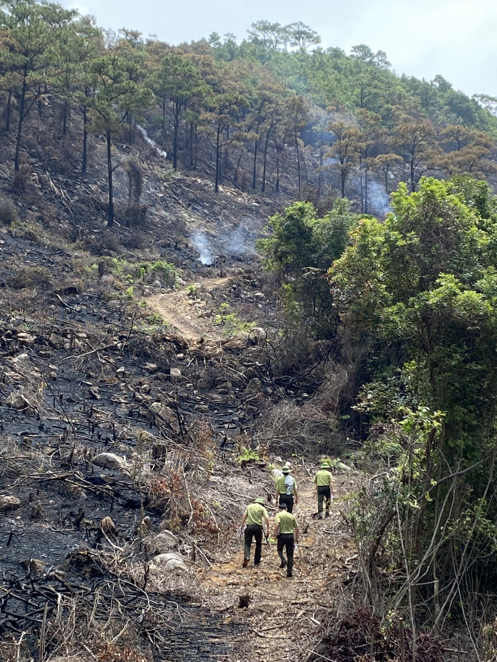1 ngày cháy rừng ở 2 thành phố của Quảng Ninh, khiến 2 người thiệt mạng - Ảnh 1.