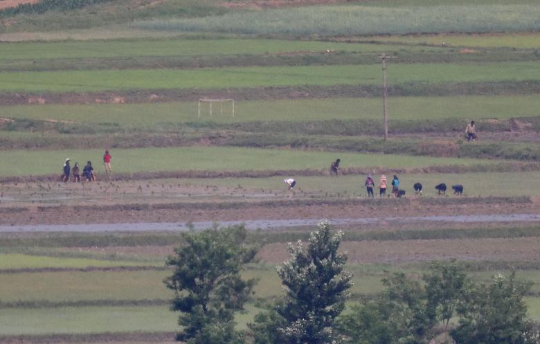 Cuộc sống thanh bình của làng quê Triều Tiên nhìn từ bên kia biên giới - Ảnh 1.
