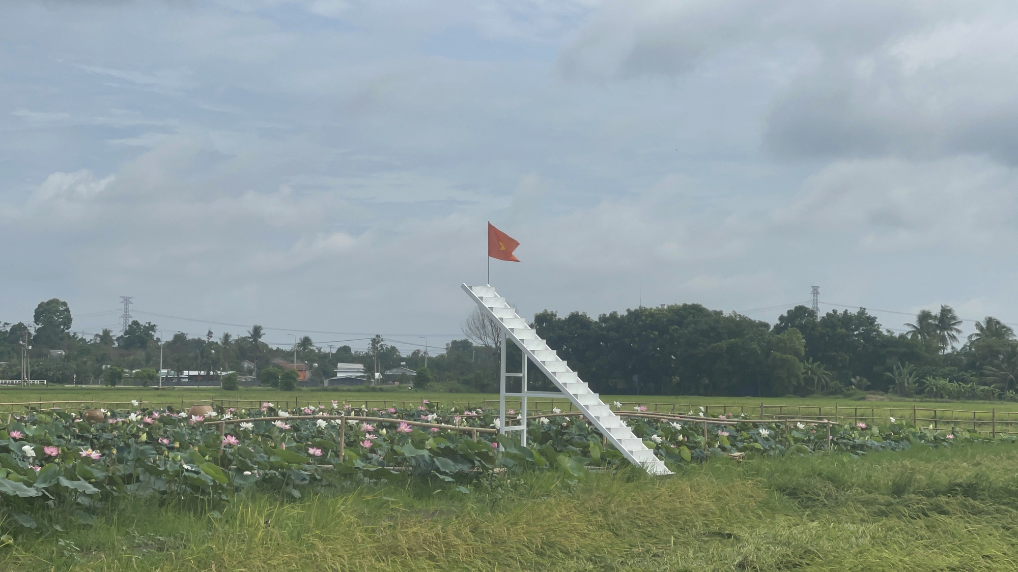 Lễ hội trái cây Long Khánh 2023: Đưa sầu riêng, măng cụt, chôm chôm &quot;xịn&quot; đến với du khách - Ảnh 2.