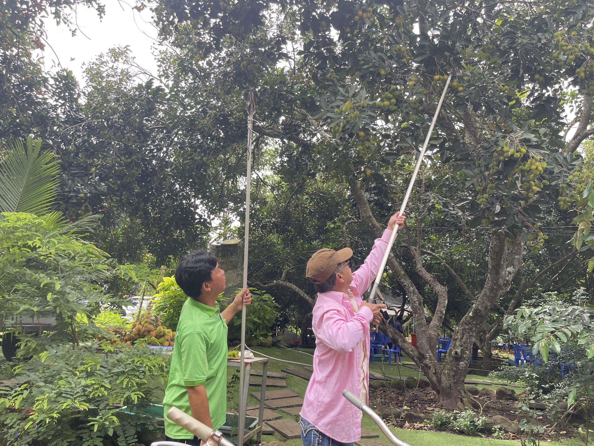 Lễ hội trái cây Long Khánh 2023: Đưa sầu riêng, măng cụt, chôm chôm &quot;xịn&quot; đến với du khách - Ảnh 1.