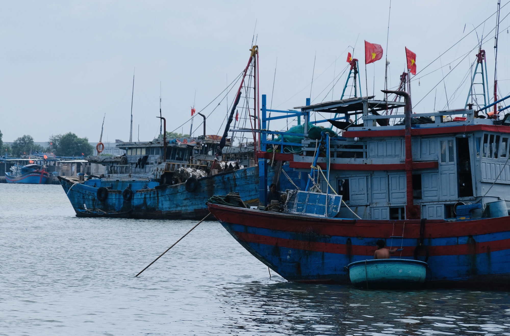 Bà Rịa - Vũng Tàu: Chi lớn nâng cấp 18 tàu cá, HTX Quyết Thắng thu 50-60 tỷ đồng mỗi năm - Ảnh 2.