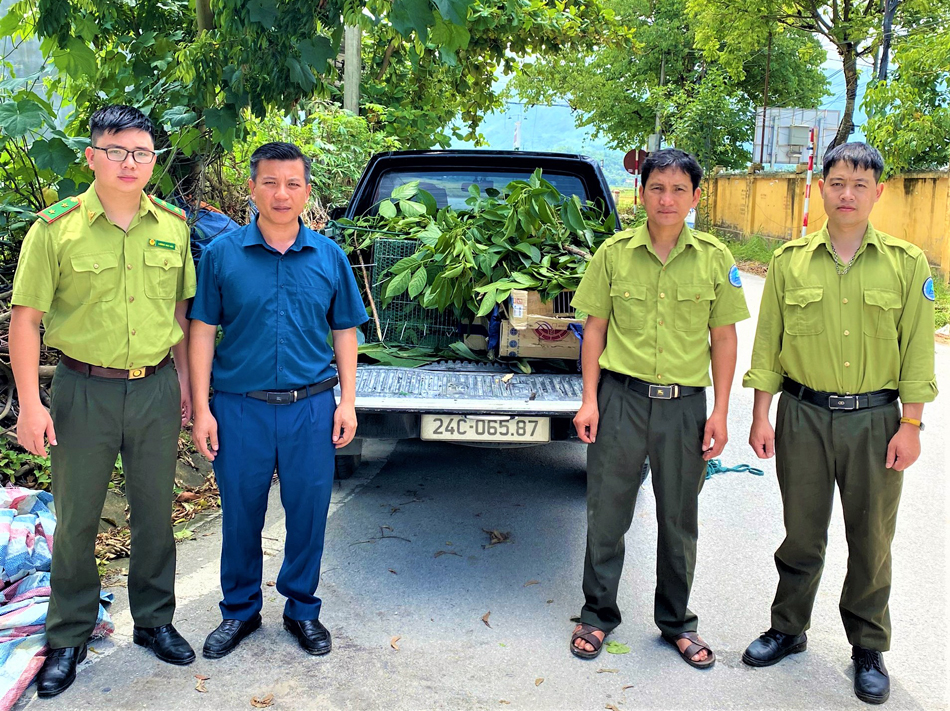 Điện Biên: Bàn giao các cá thể chim cho Trung tâm Cứu hộ, bảo tồn và Phát triển sinh vật Hoàng Liên  - Ảnh 1.