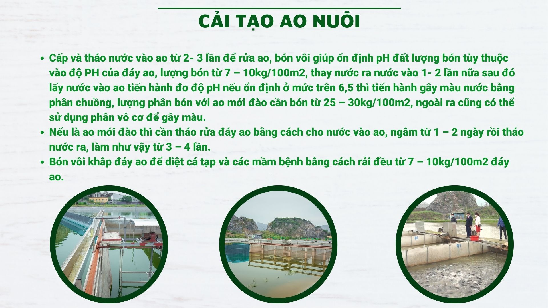 SỔ TAY NHÀ NÔNG: Cải tạo môi trường 'sông trong ao&quot; cho đàn cá - Ảnh 3.