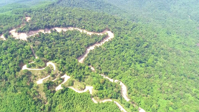 Thông tin phản ánh chặt phá trái phép rừng Kfw6 ở Quảng Ngãi để mở đường là chính xác - Ảnh 5.