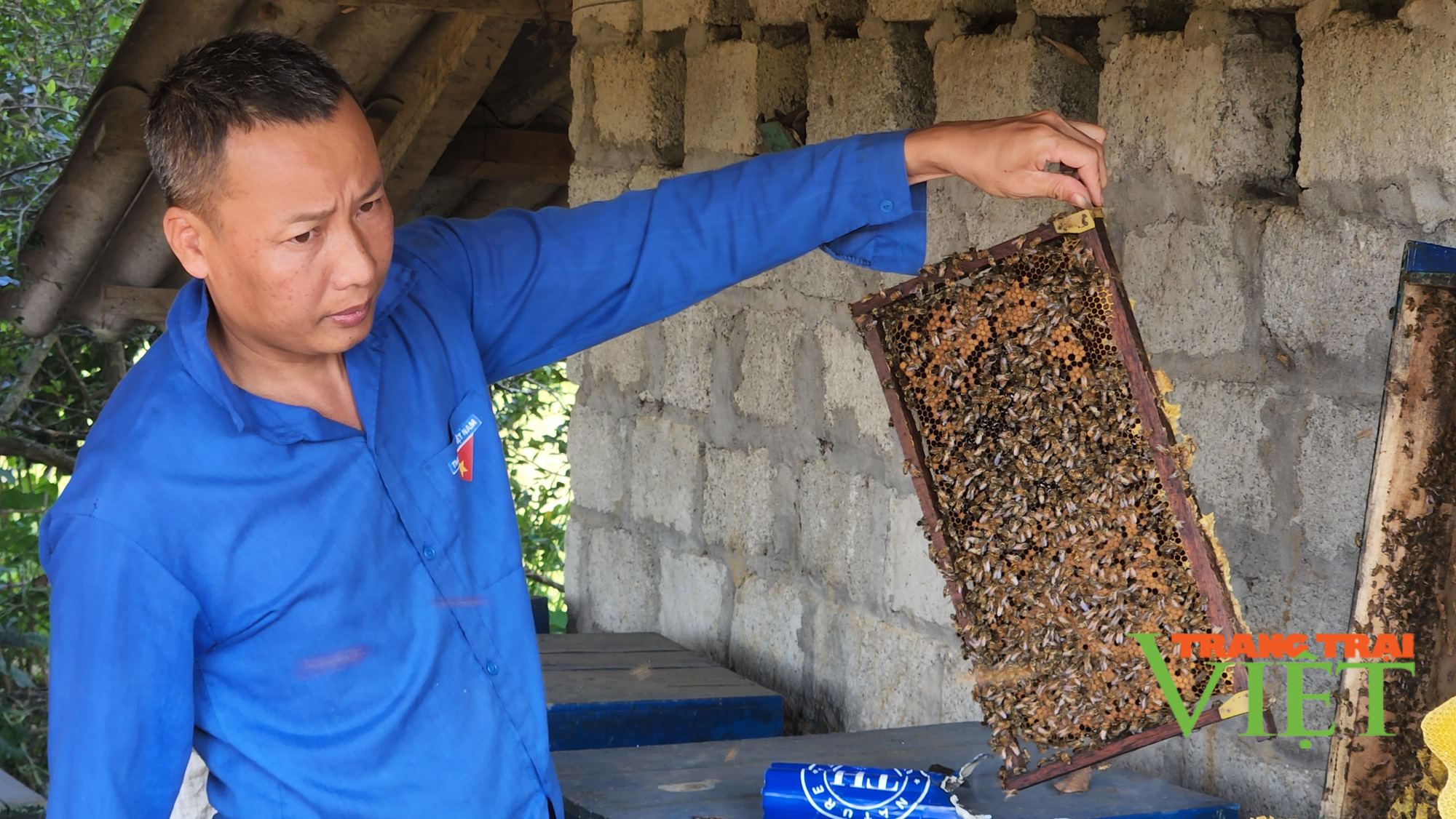 Hưởng lợi từ nghị quyết 07, nông dân Tân Uyên mạnh dạn tăng đàn đại gia súc, nuôi ong lấy mật  - Ảnh 1.