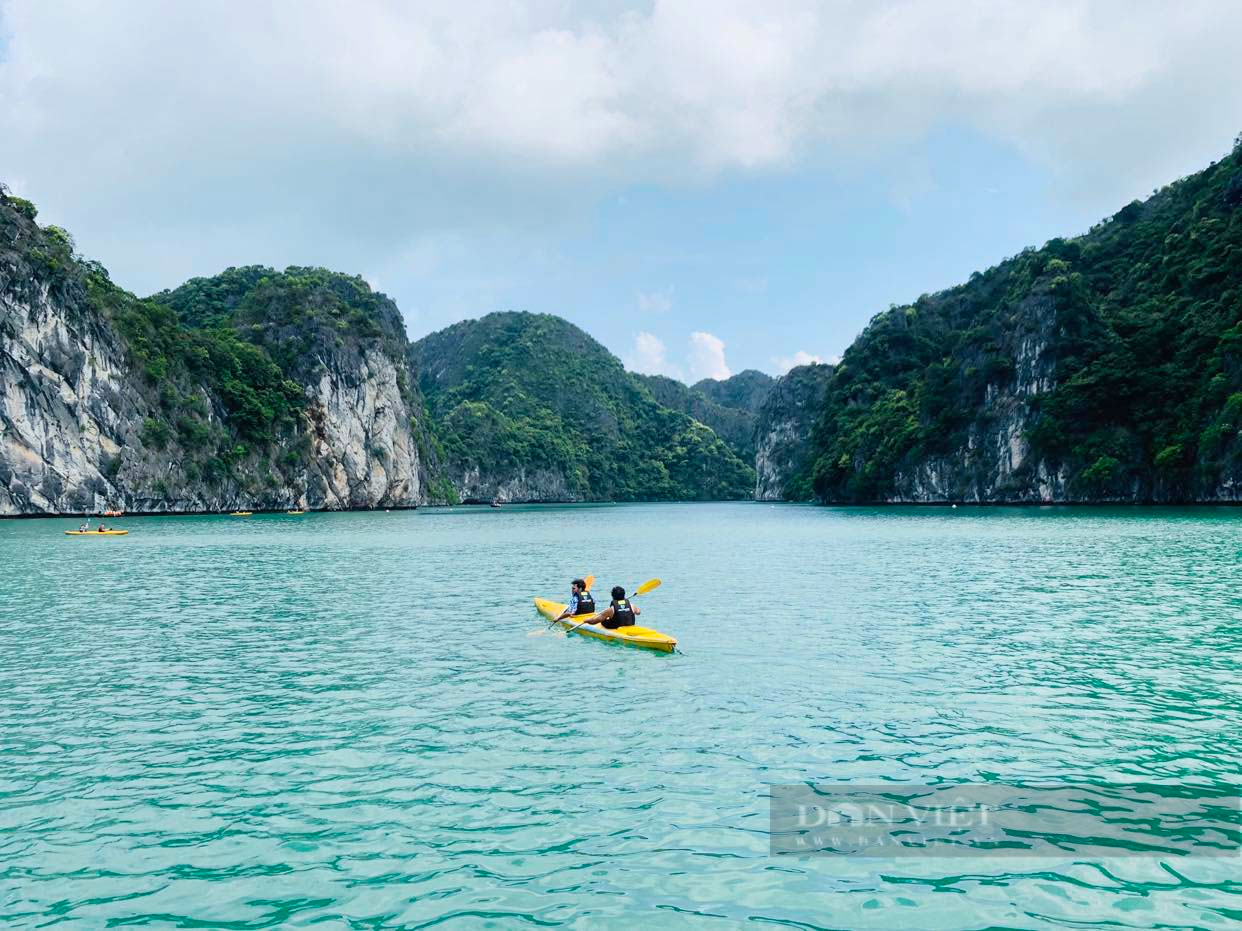 Du khách nước ngoài bất ngờ thốt lên điều này sau một ngày trải nghiệm du thuyền Hạ Long - Ảnh 2.