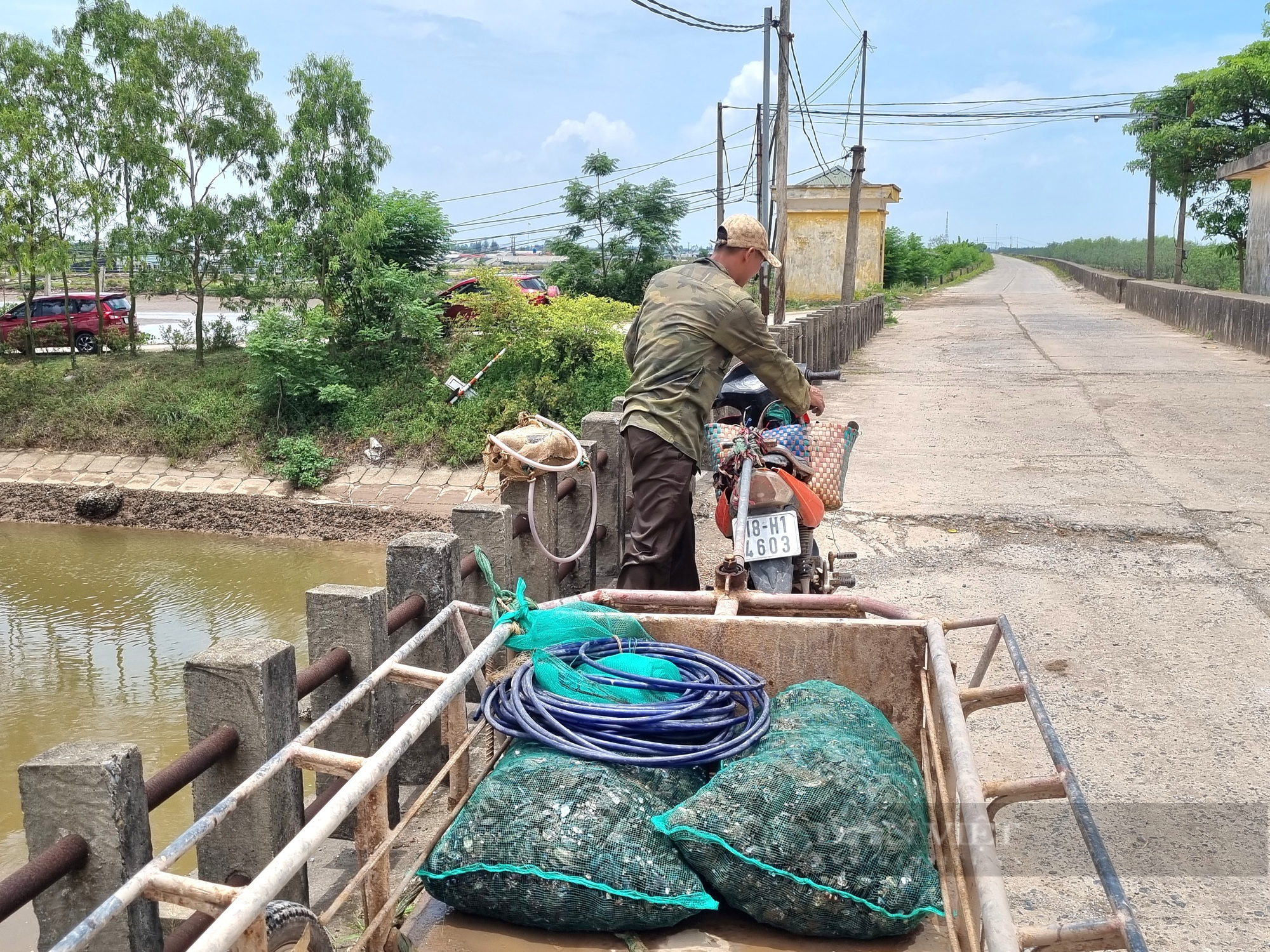 Nguy hiểm nghề lặn bắt con vẹm đen kiếm tiền triệu mỗi ngày ở Ninh Bình - Ảnh 9.