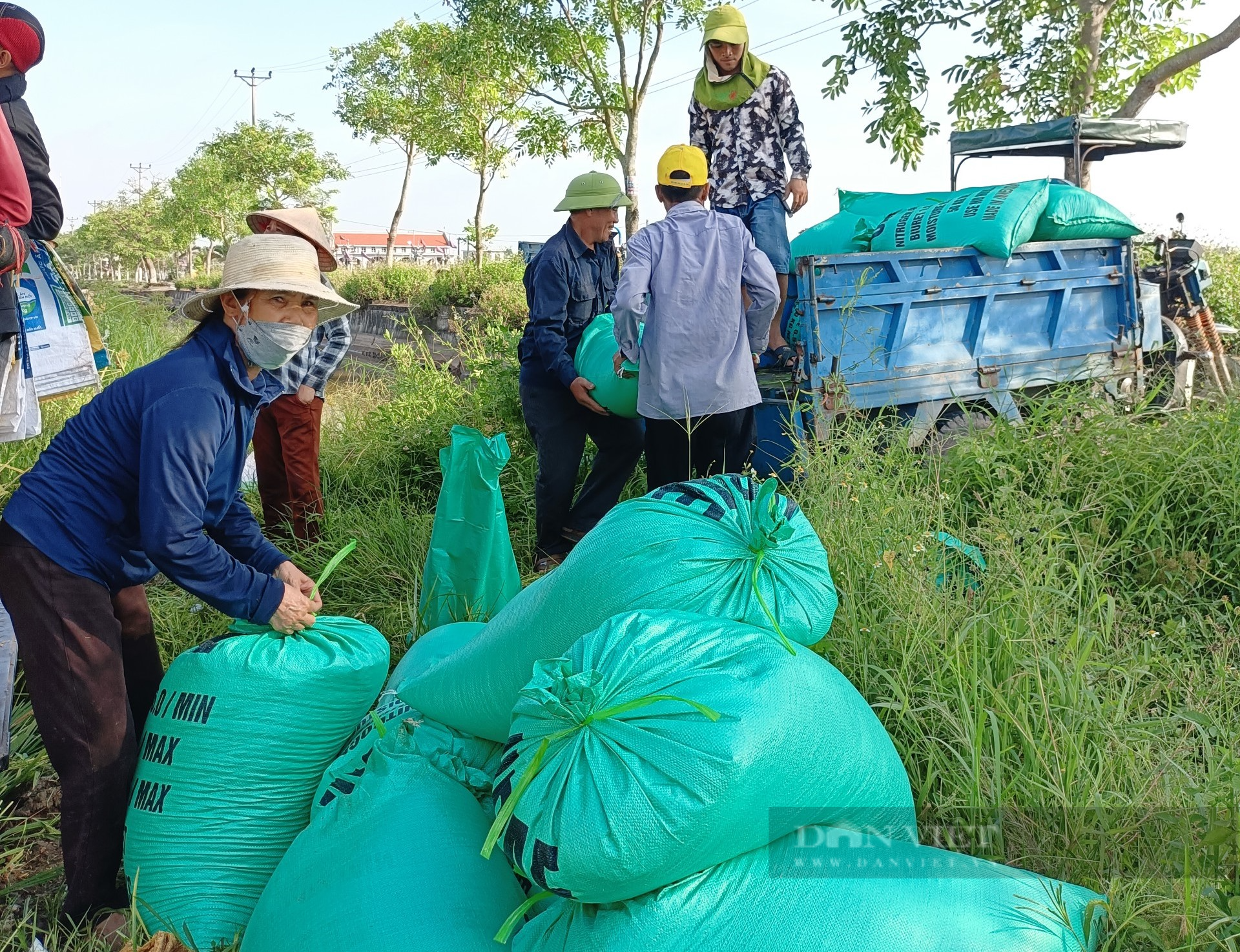 Nông dân Nam Định vui mừng, phấn khởi vì lúa xuân được mùa - Ảnh 2.