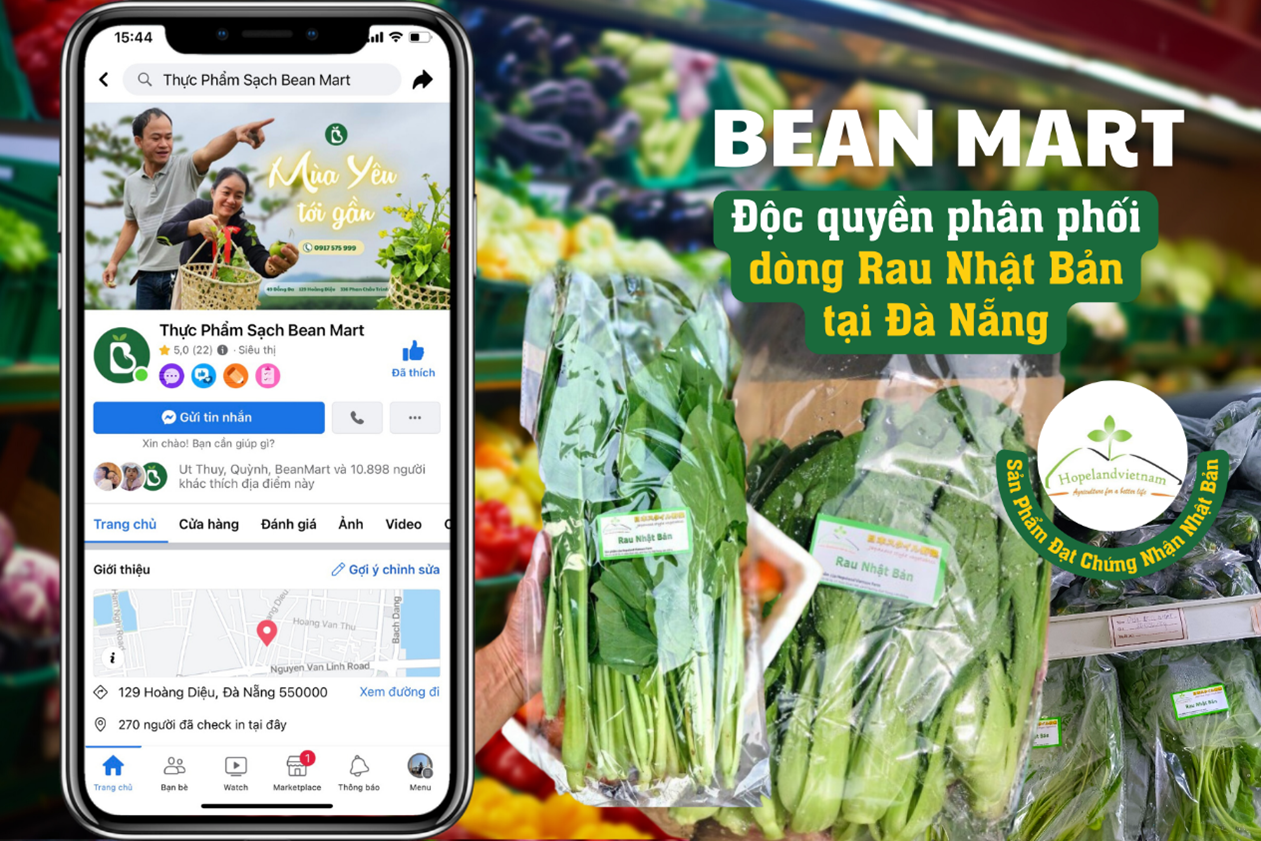 Bean Mart – Siêu thị độc quyền về phân phối sản phẩm rau Nhật Bản tại Đà Nẵng - Ảnh 1.