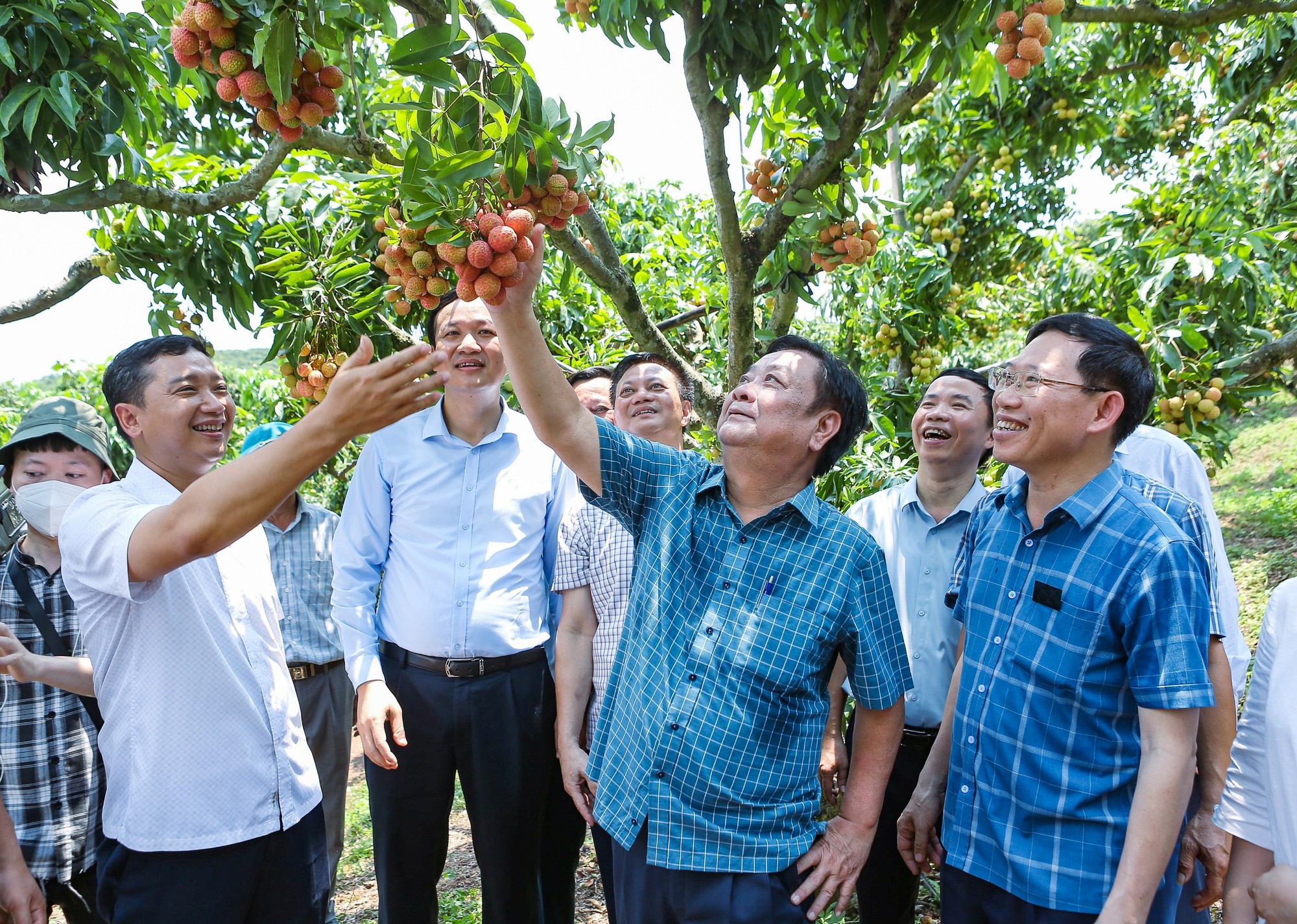 Bộ trưởng Lê Minh Hoan đến tận vùng vải thiều mua một cây - Ảnh 2.