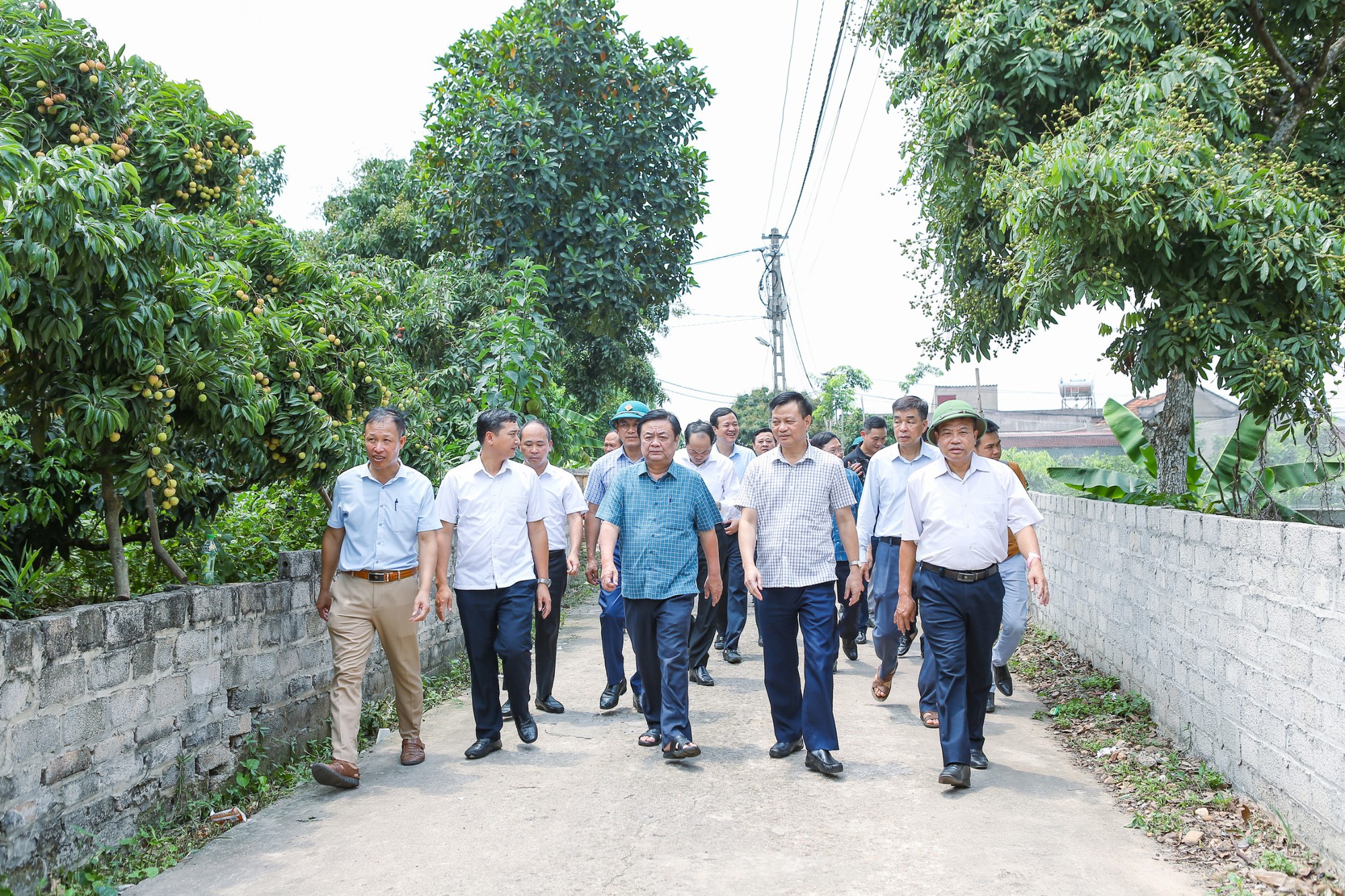 Bộ trưởng Lê Minh Hoan mua nguyên cây vải thiều ở Lục Ngạn, Bắc Giang - Ảnh 3.