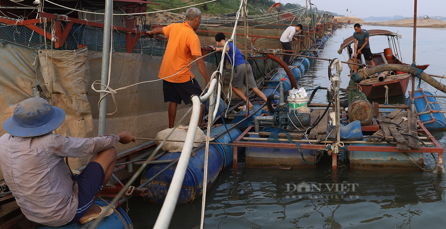 Sông Đà cạn kỷ lục, nông dân căng mình &quot;chạy cạn&quot;, dịch chuyển lồng nuôi, bơm nước để cứu cá - Ảnh 10.