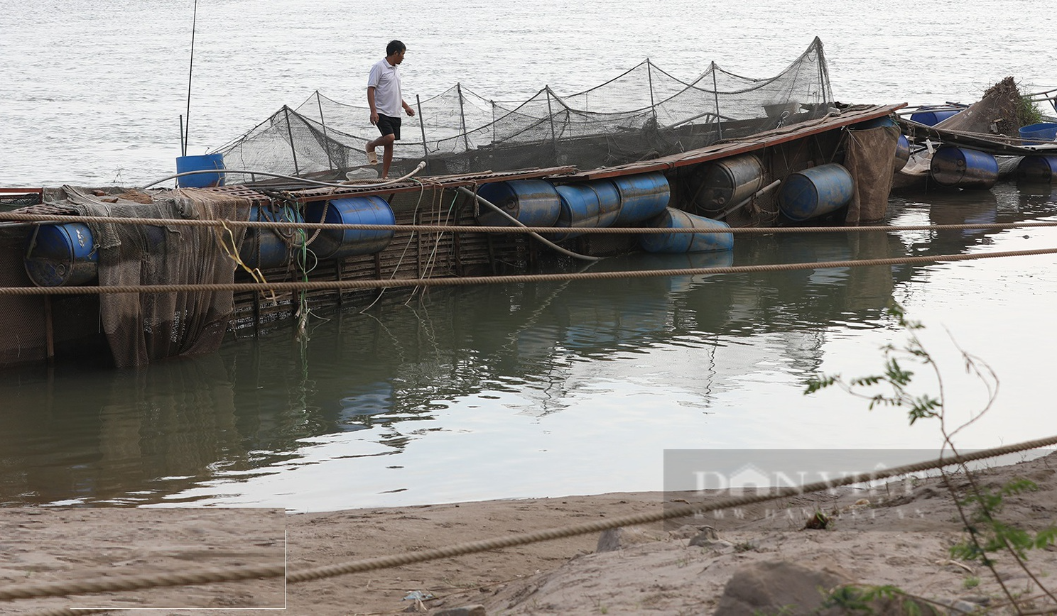 Sông Đà cạn kỷ lục, nông dân căng mình &quot;chạy cạn&quot;, dịch chuyển lồng nuôi, bơm nước để cứu cá - Ảnh 2.