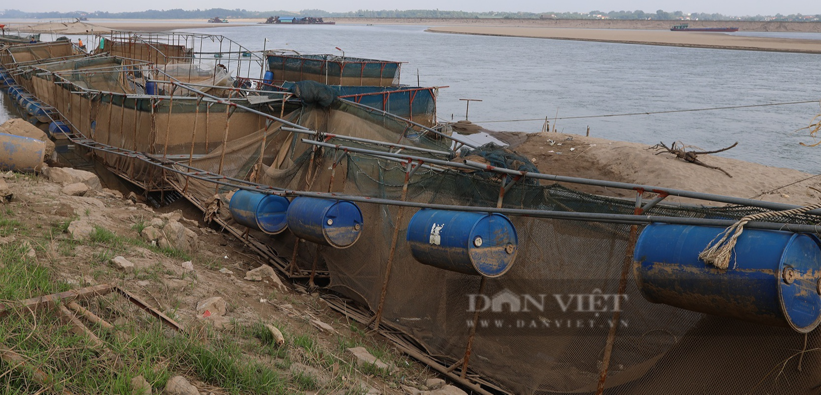 Sông Đà cạn kỷ lục, nông dân căng mình &quot;chạy cạn&quot;, dịch chuyển lồng nuôi, bơm nước để cứu cá - Ảnh 5.