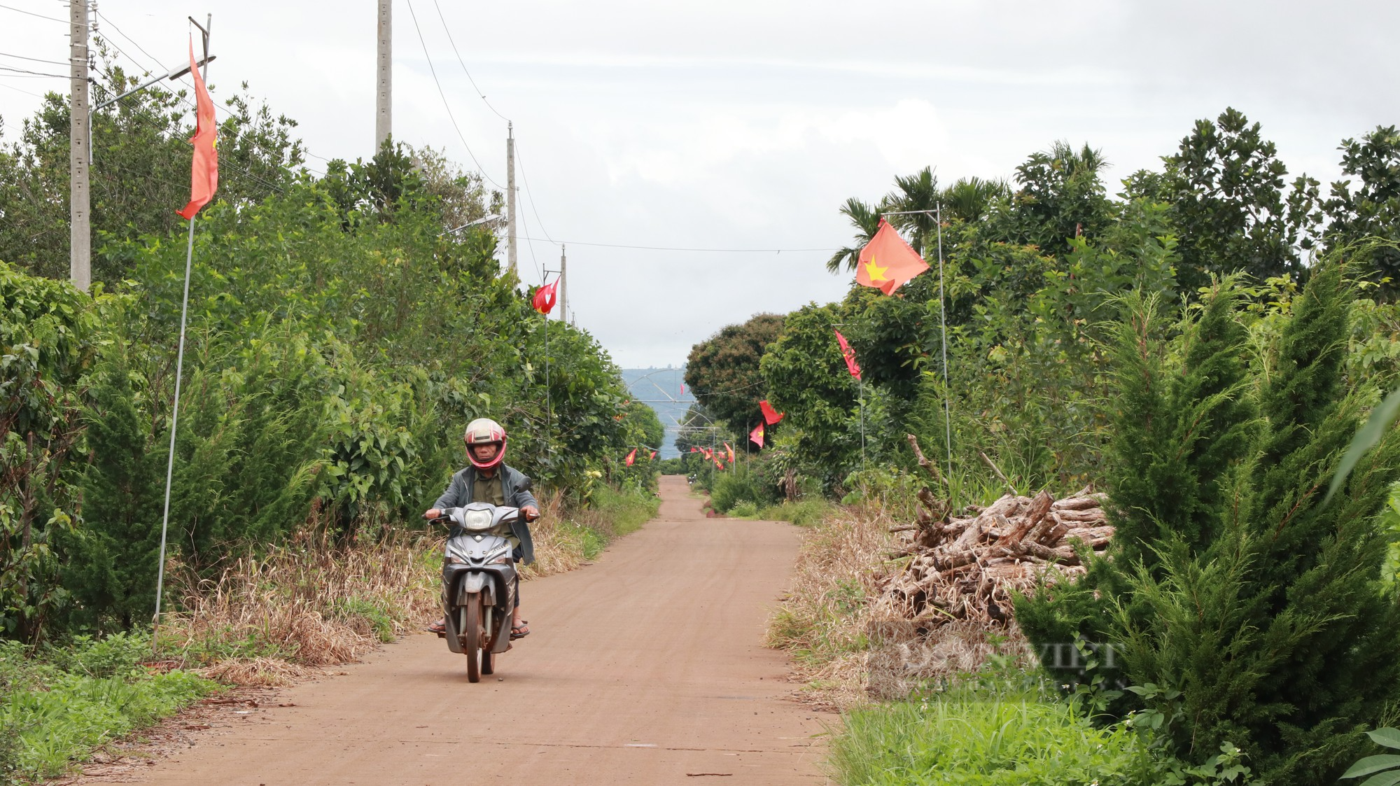 Hội Nông dân Lâm Hà (Lâm Đồng): Hỗ trợ người dân làm đường Sáng -  Xanh - Sạch - Đẹp - Ảnh 1.