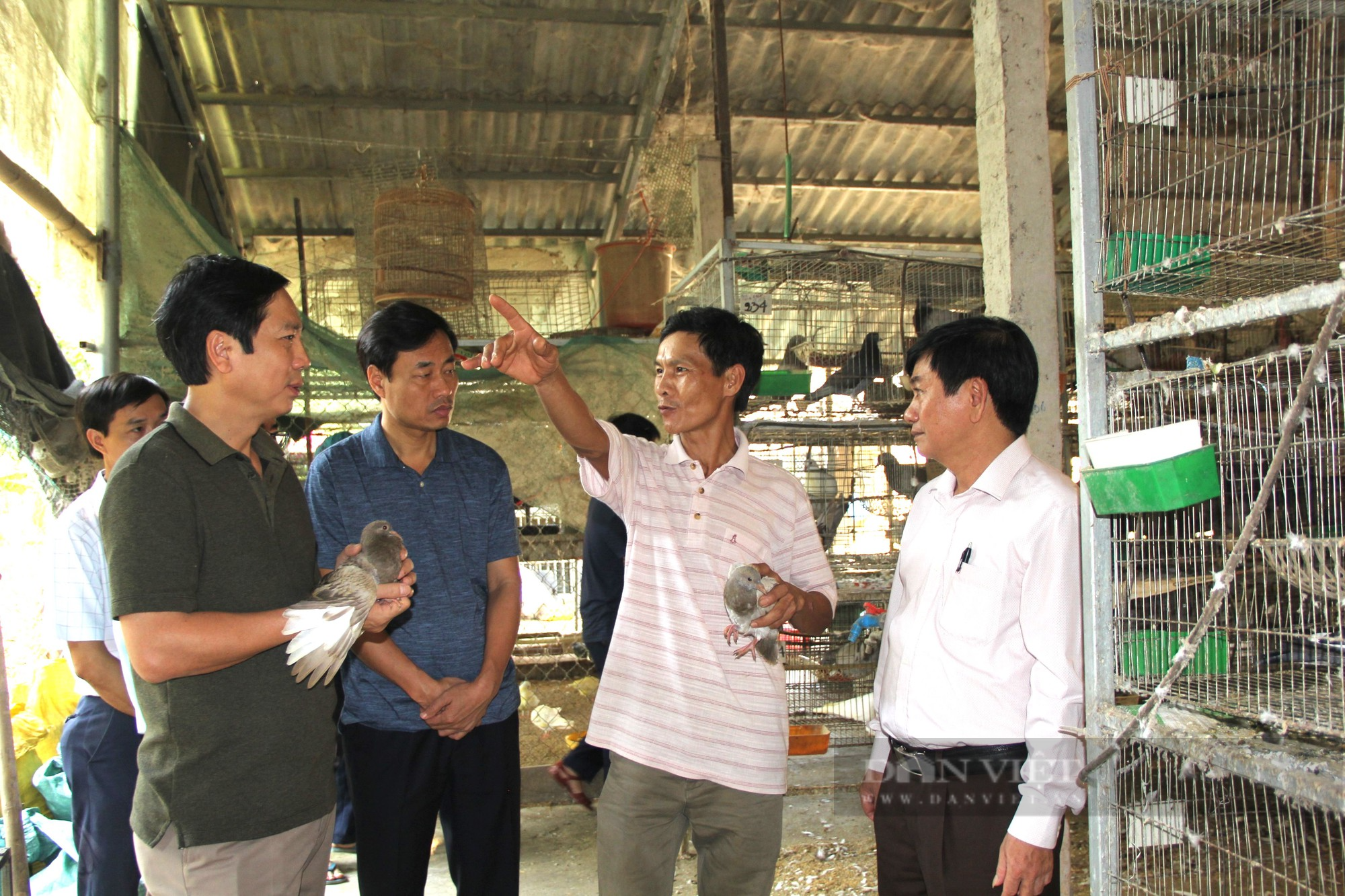 Tạo thương hiệu “bánh lọc nhân bồ câu Quảng Trị”, giúp nông dân thoát nghèo, tại sao không? - Ảnh 1.