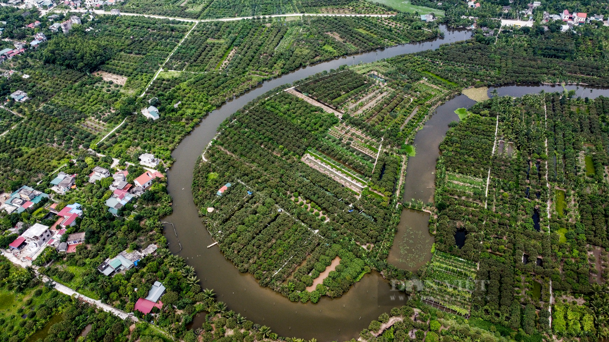 Nông dân Thanh Hà tất bật thu hoạch vải sớm - Ảnh 11.