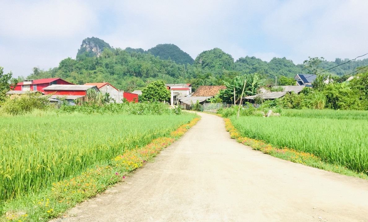 Côn Minh tăng tốc về đích nông thôn mới - Ảnh 1.