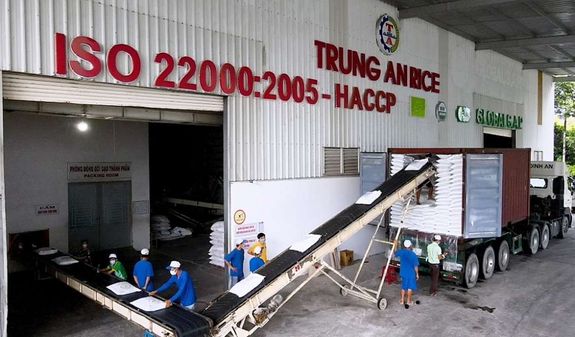 Trung An (TAR) lộ tham vọng lớn về xuất khẩu lúa gạo, muốn chào bán hơn 76 triệu cp - Ảnh 1.