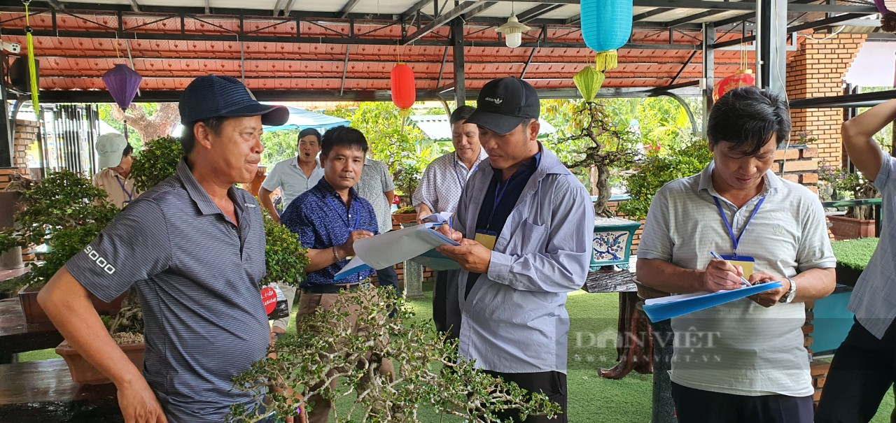 Khánh Hòa: Những cây bonsai độc lạ tranh tài ở Cam Lâm - Ảnh 3.