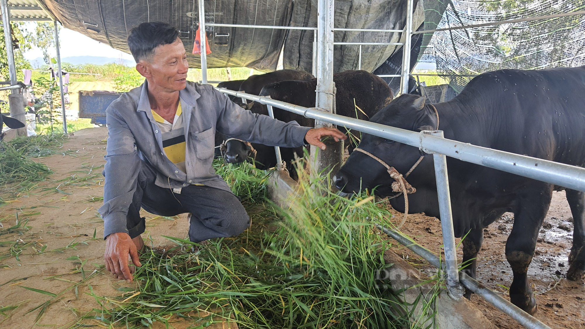 Nông thôn mới – bước đệm quan trọng giúp thị xã Điện Bàn (Quảng Nam) hướng đến đô thị loại III - Ảnh 11.