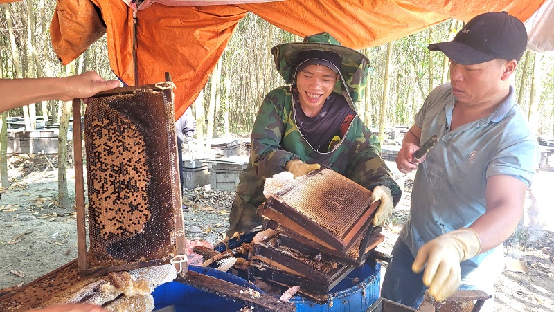 Nắng gần 40 độ C nhưng người nuôi ong &quot;du mục&quot; ở Hà Tĩnh vẫn cười tươi vì mật được mùa, giá bán ổn định - Ảnh 3.