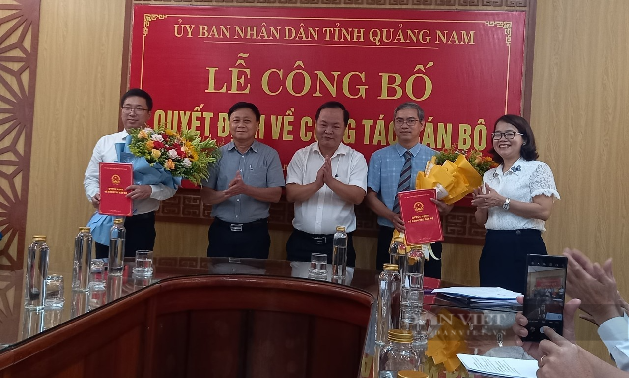Tỉnh Quảng Nam đề xuất mức hỗ trợ cho việc luân chuyển, điều động cán bộ về cơ sở - Ảnh 2.
